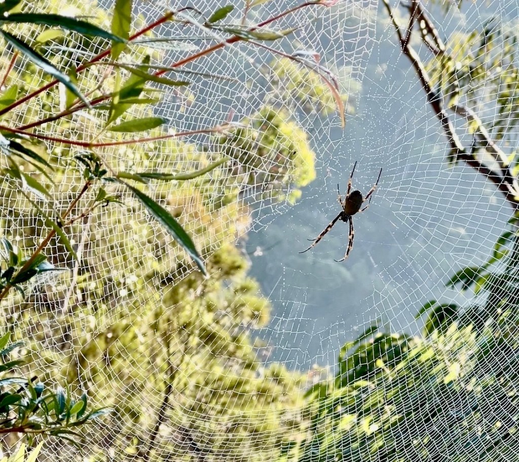 關係中的壓力，是來自對方，還是自己?