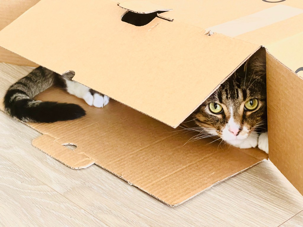 你被誤解了嗎？內向和外向的真實定義