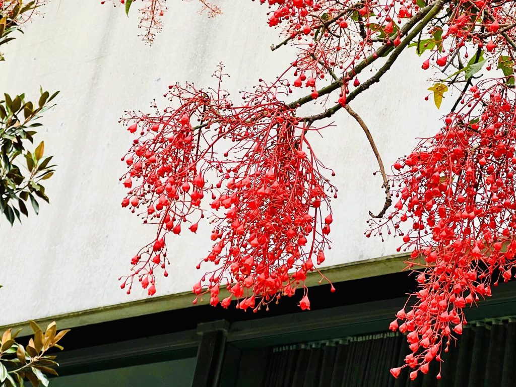 日常舒壓小記— 5 分鐘讓自己休息